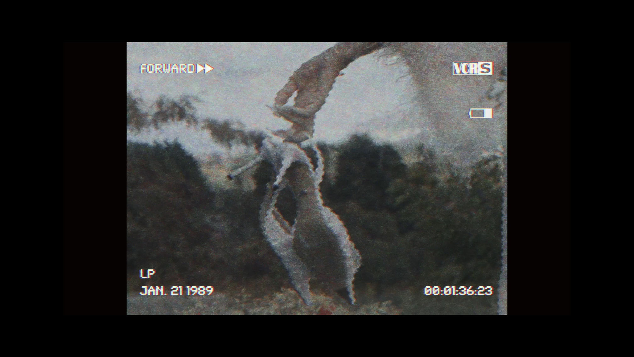 20250127 皇后镇庄园户外mv
